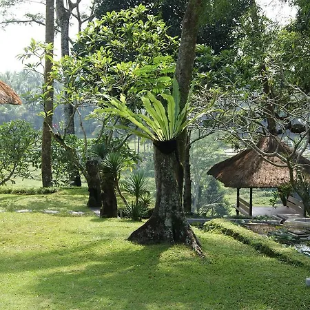 Balihideaway